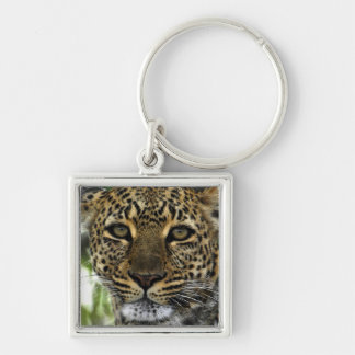 leopard keychain