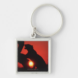 leopard keychain