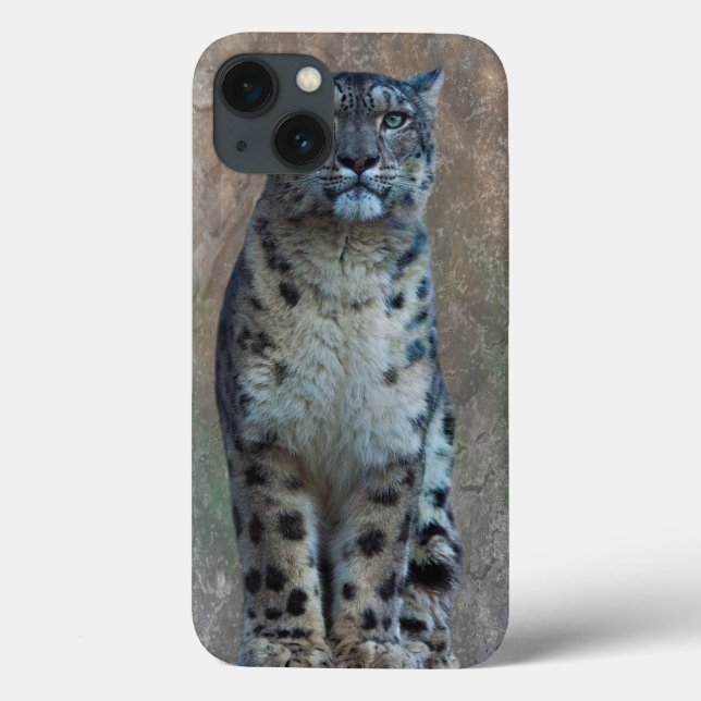 Leopard Lookout iPad Case (Back)