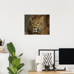 Leopard Lovers Art Poster