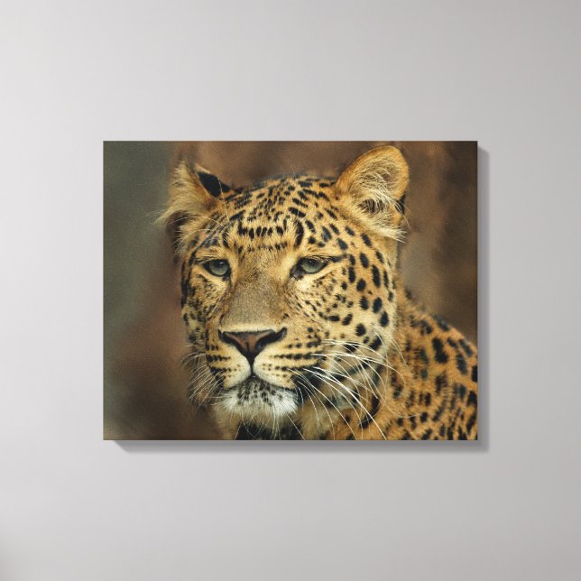 Leopard Lovers Canvas Print (Front)