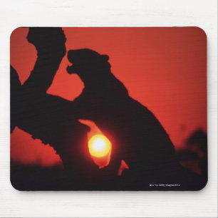 leopard mouse pad