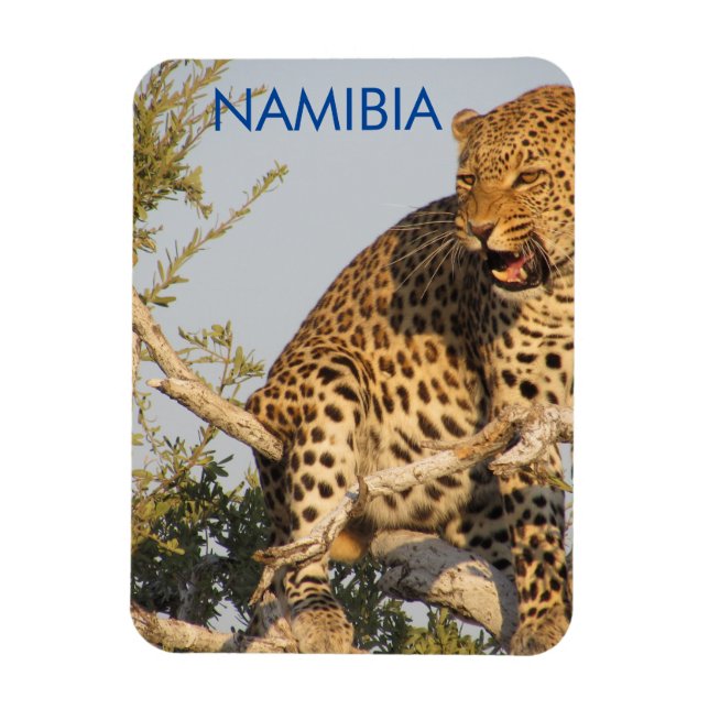 Leopard, Namibia Magnet (Vertical)