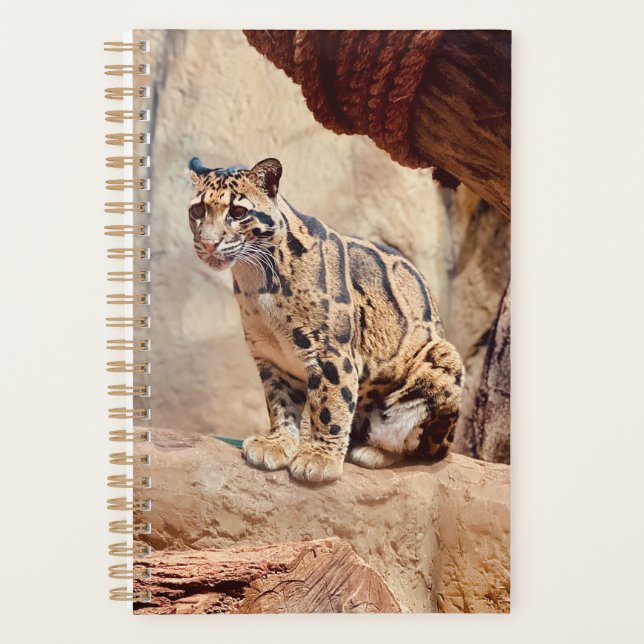 léopard nébuleux image nature faune exotique (Devant)