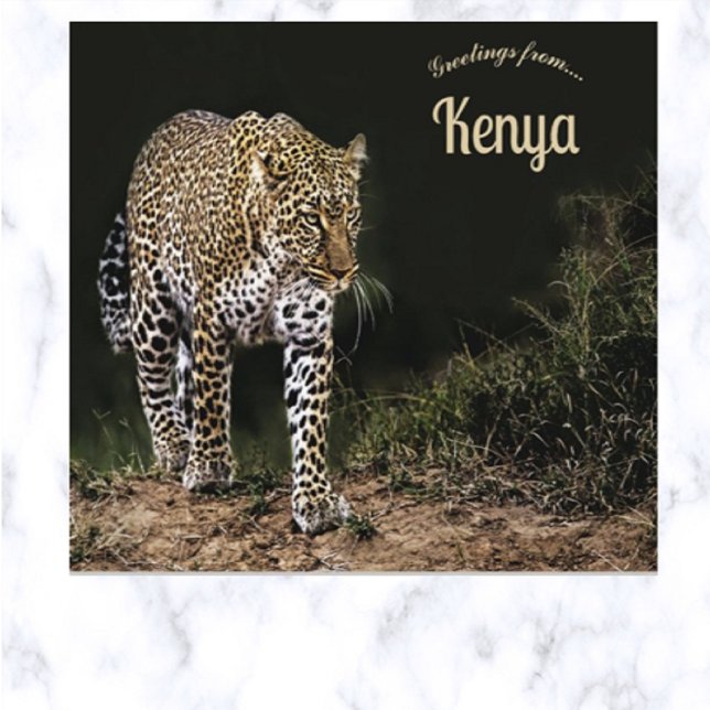 Leopard on the Masai Mara National Reserve Kenya  Postcard (Creator Uploaded)