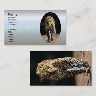 Leopard on the Prowl Business Card