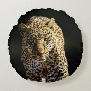 Leopard on the Prowl Round Pillow