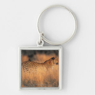 Leopard (Panthera pardus) Keychain