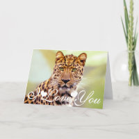 Leopard Photograph Image I Love You