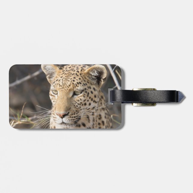 Leopard portrait luggage tag (Back Horizontal)