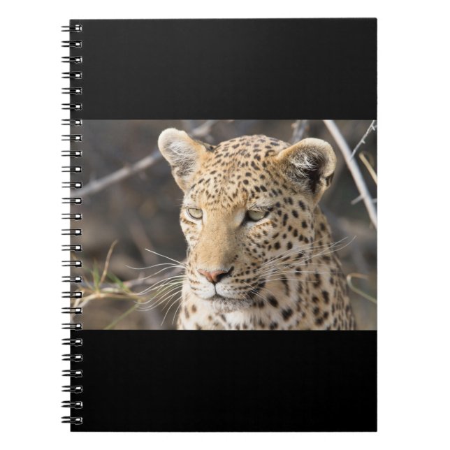 Leopard portrait notebook (Front)