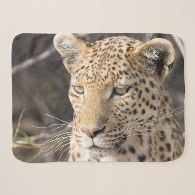 Leopard portrait photo sherpa blanket (Front (Horizontal))