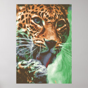 Leopard Portrait Poster