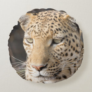 Leopard portrait round pillow