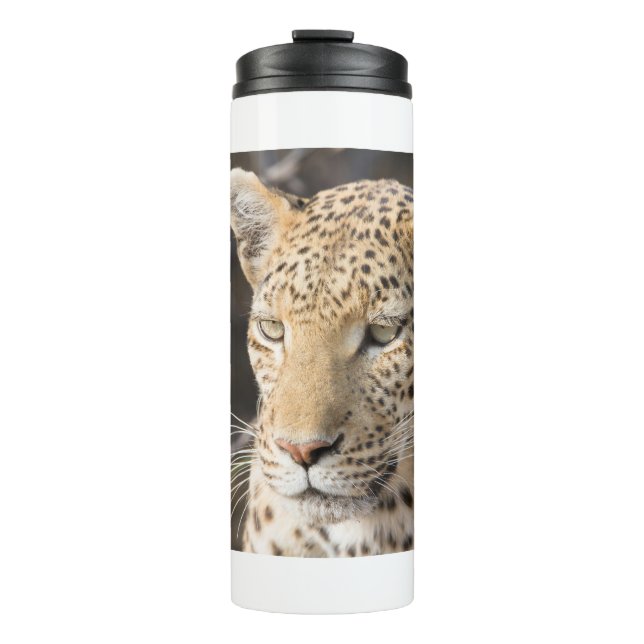 Leopard portrait thermal tumbler (Front)
