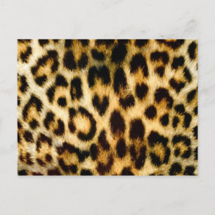 Leopard print postcard