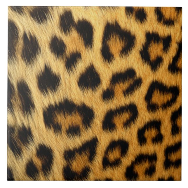 Leopard Print Tile (Front)