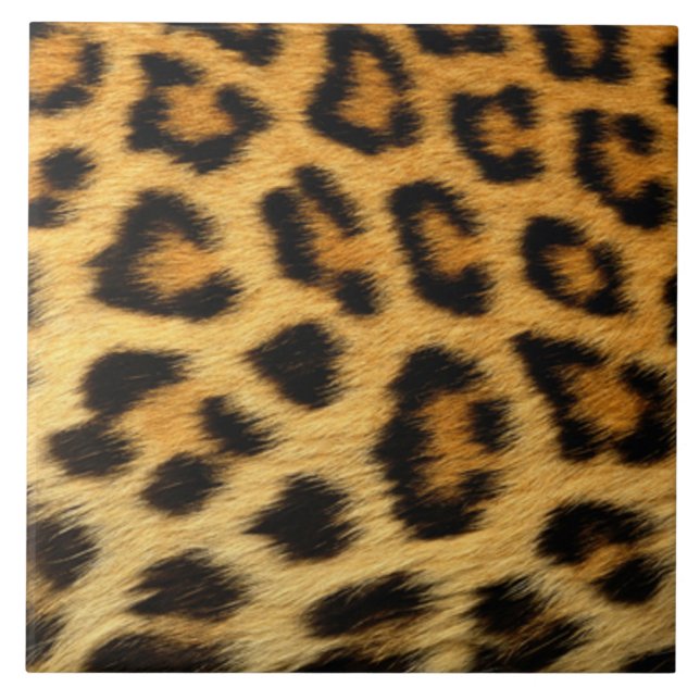 Leopard Print Tile (Front)