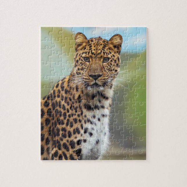 Leopard Puzzle (Vertical)