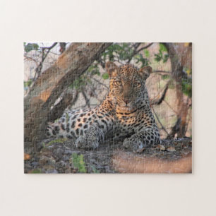 Leopard Puzzle