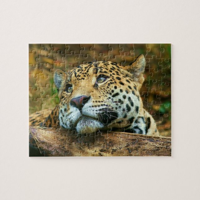 Leopard Puzzle (Horizontal)
