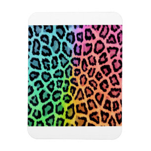 leopard rainbow bg magnet