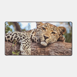 Leopard Relaxant