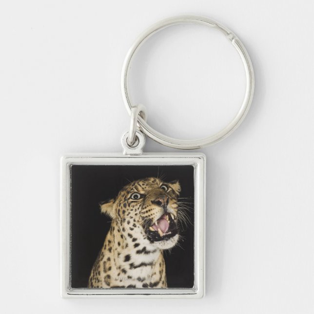 Leopard roaring keychain (Front)