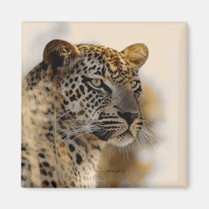 Leopard safari magnets
