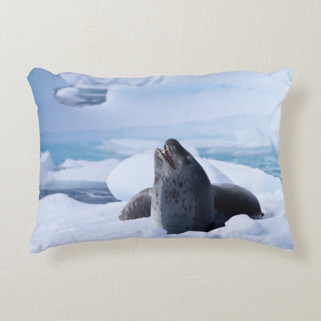 Leopard Seal Accent Pillow (Front)
