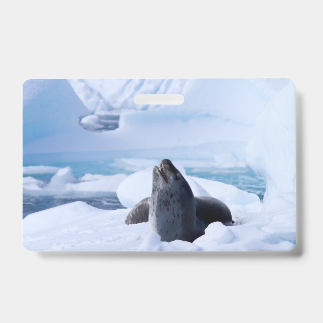 Leopard Seal Badge (Front)