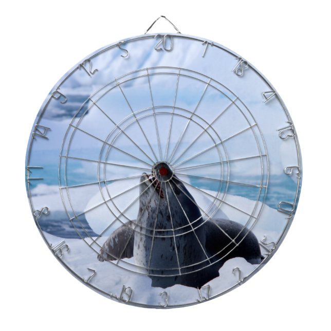 Leopard Seal Dartboard (Front)