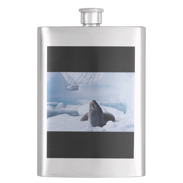 Leopard Seal Hip Flask (Front)