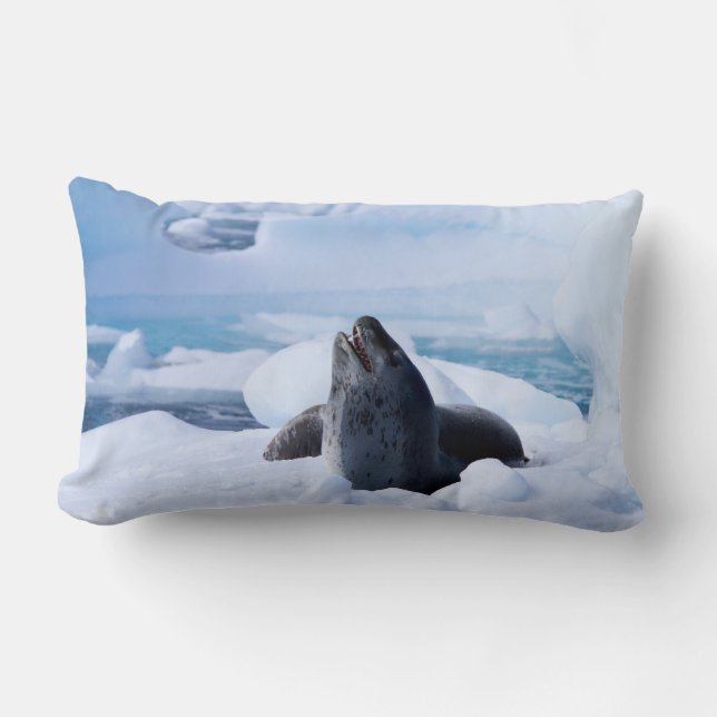 Leopard Seal Lumbar Pillow (Front)