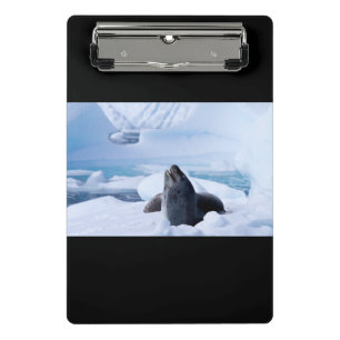 Leopard Seal Mini Clipboard