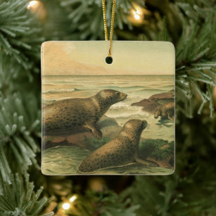 Leopard Seals, Vintage Aquatic Animals Marine Life Ceramic Ornament