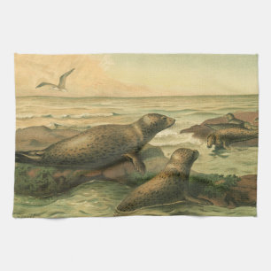 Leopard Seals, Vintage Aquatic Animals Marine Life Kitchen Towel