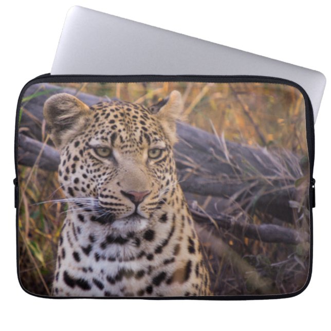 Leopard sitting, Botswana, Africa Laptop Sleeve (Front)