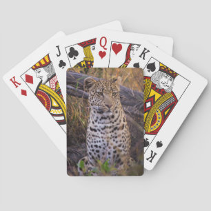 Leopard sitting, Botswana, Africa Playing Cards