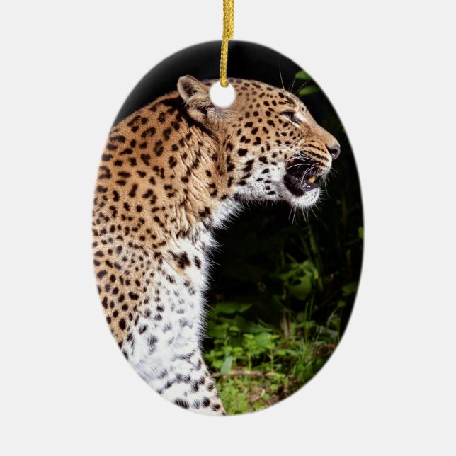 Leopard sitting ceramic ornament (Front)