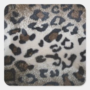 Leopard skin pattern square sticker