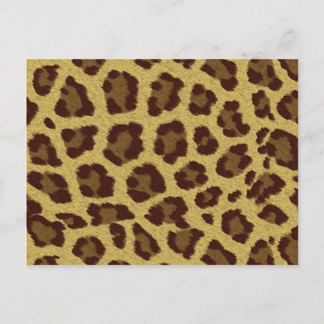 Leopard Skin Postcard (Front)