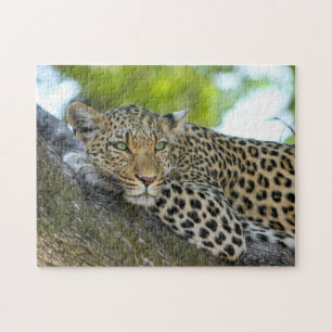 Leopard Spots Jigsaw Puzzle