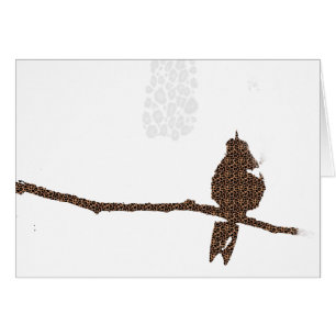 Leopard Spotted Hummingbird