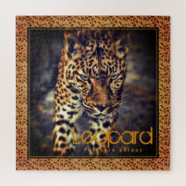 Leopard [Square Jigsaw puzzle] Puzzle (Vertical)