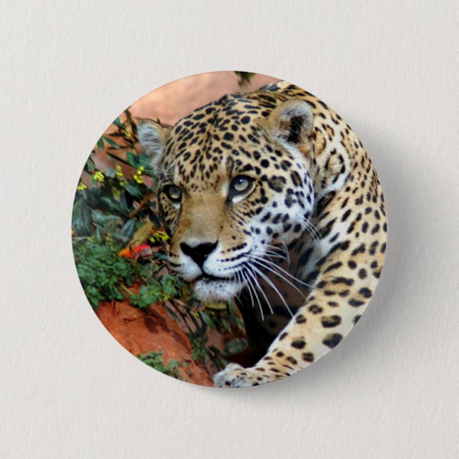 Leopard Stalking Macro 2 Inch Round Button (Front)