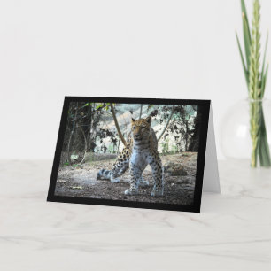 Leopard Stance Portrait Card