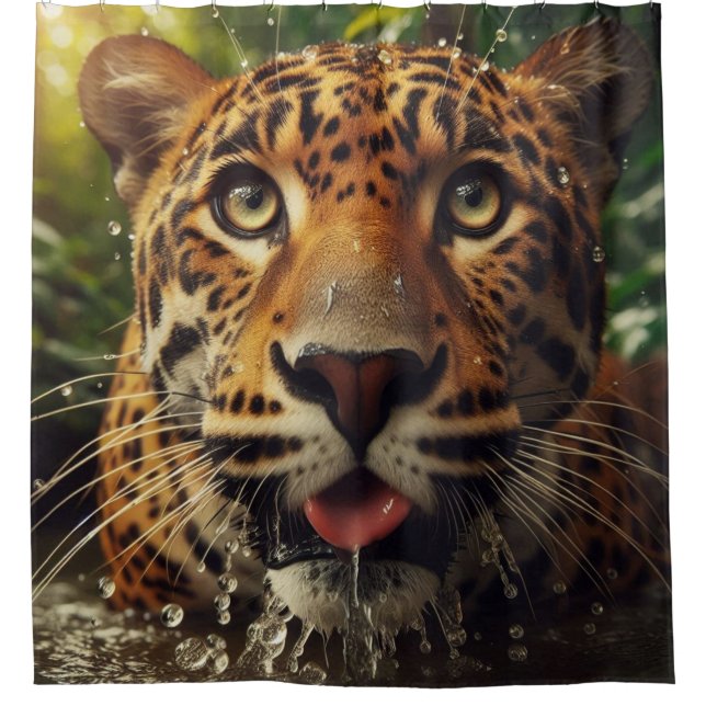 Leopard Stares While Lapping Water in Jungle  (Front)