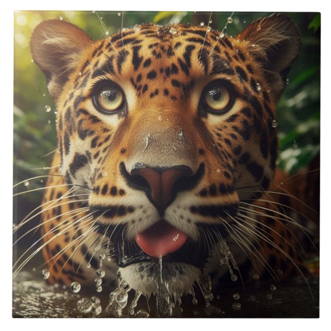Leopard Stares While Lapping Water in Jungle  Tile (Front)
