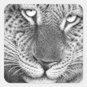 Leopard Sticker